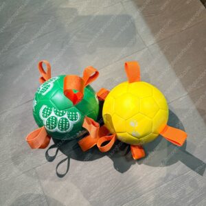 Pet toy ball