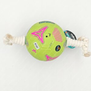 Pet toy ball